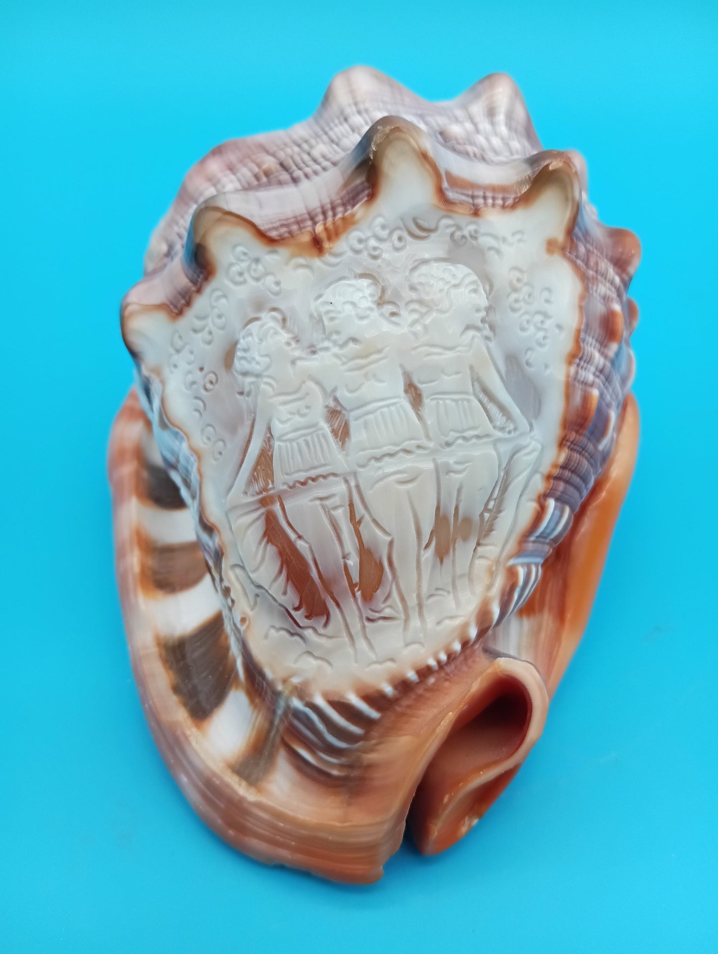 Signed Carved Cameo Three Graces Shell 4.7" – Premium Coastal Decor Accent