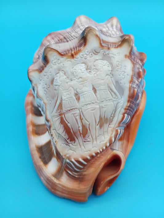 Signed Carved Cameo Three Graces Shell 4.7" – Premium Coastal Decor Accent