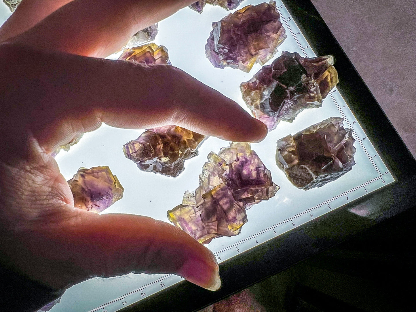 ANHUI Yellow Fluorite with Thousand Layer Purple Phantoms, RARE Minerals