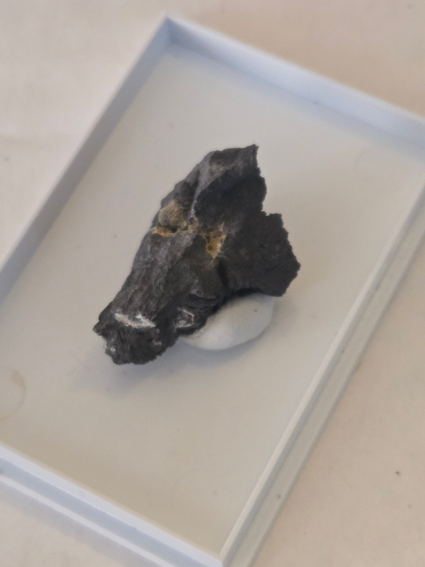 Argentopyrite Rare mineral specimen