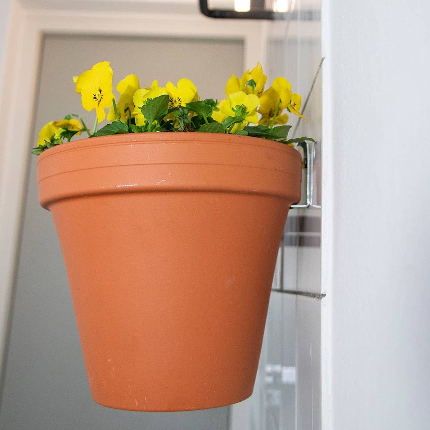 Wall mounting kit for 5 plant pots