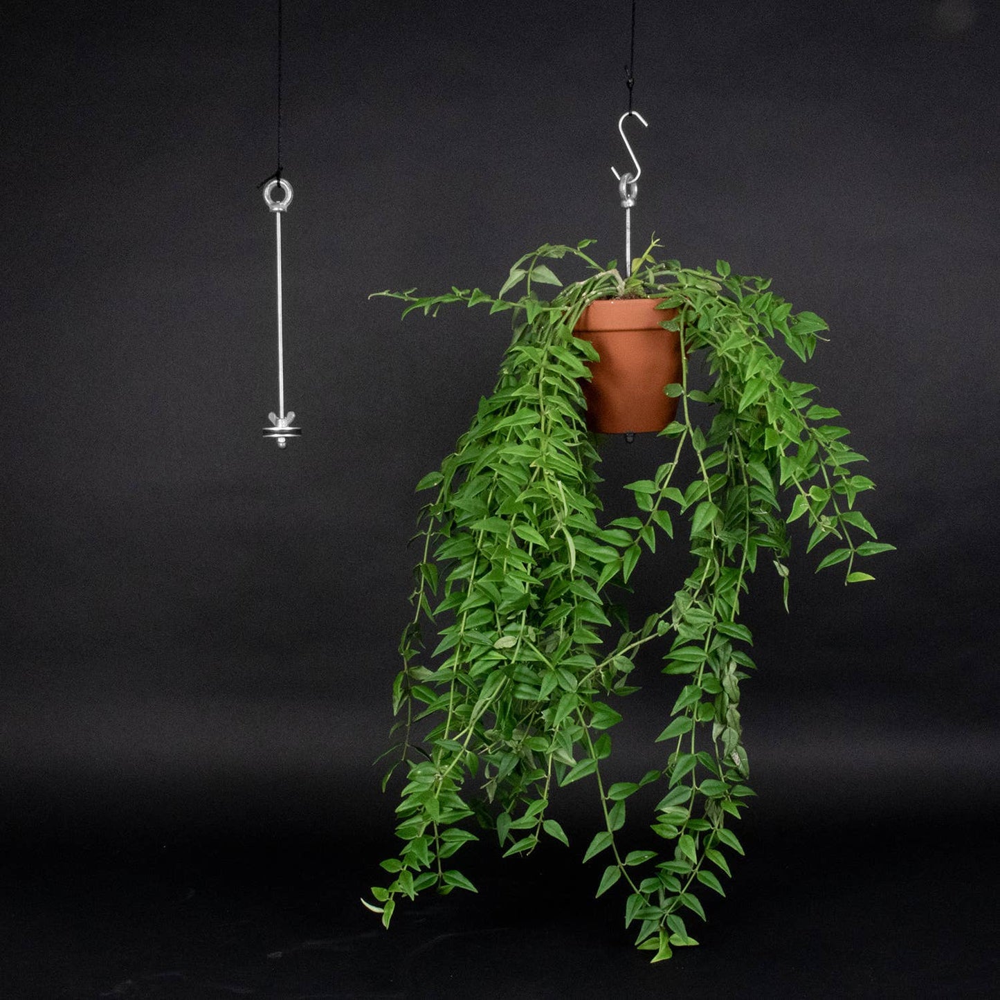 Hanging planter system for plant pots