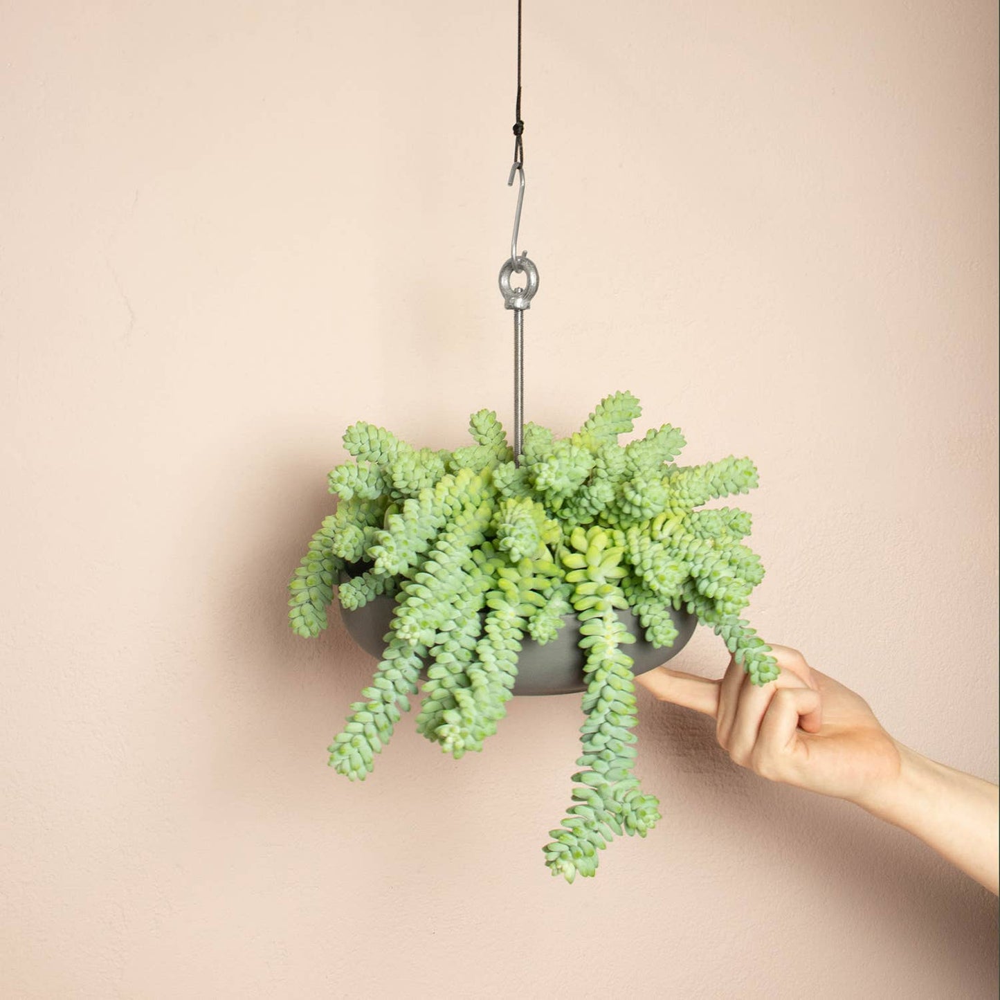 Hanging planter system for plant pots