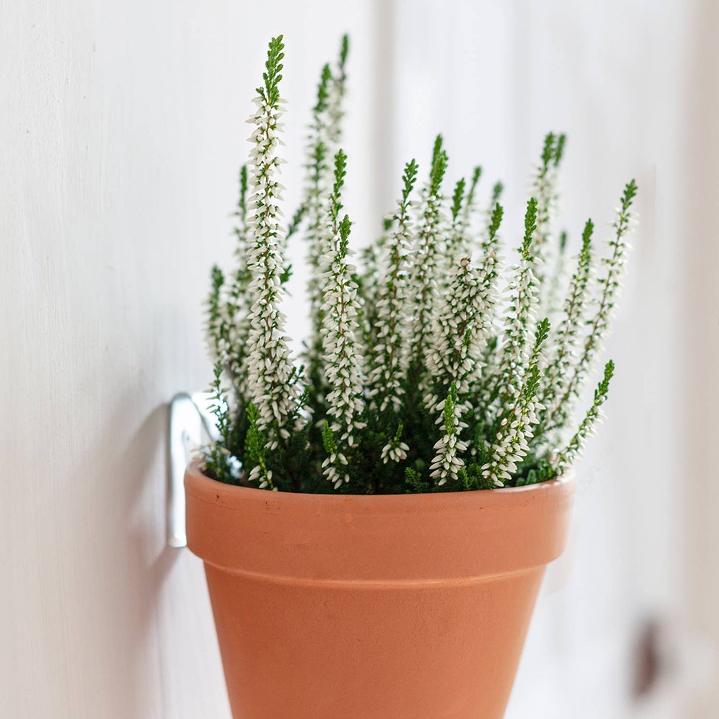 Wall mounting kit for 5 plant pots