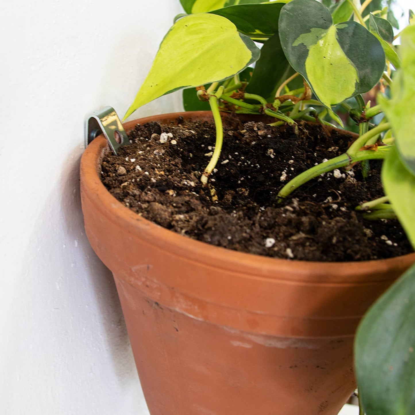 Wall mounting kit for 5 plant pots