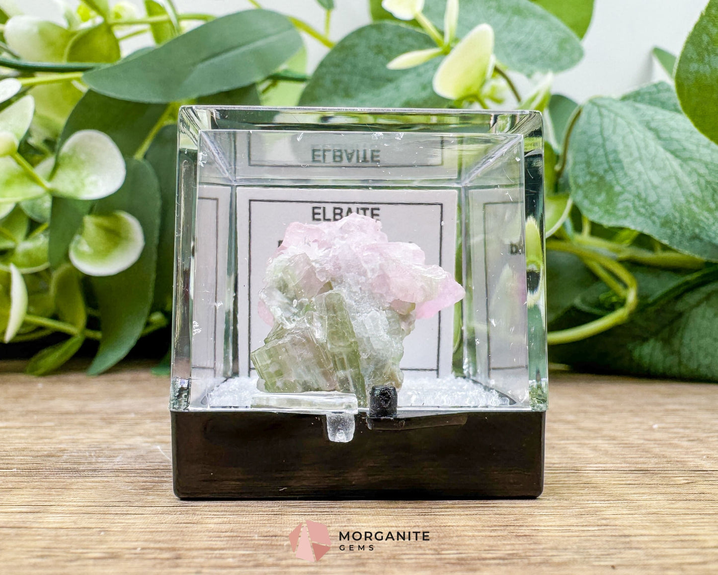 Elbaite Tourmaline – Natural Crystal Specimen in Clear Display Case 2.19g (27×21×11 mm) – Dara‑e‑Pech, Kunar, Afghanistan