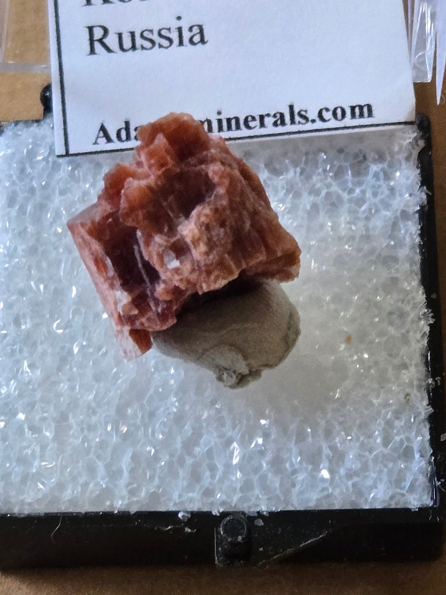 Eudialyte