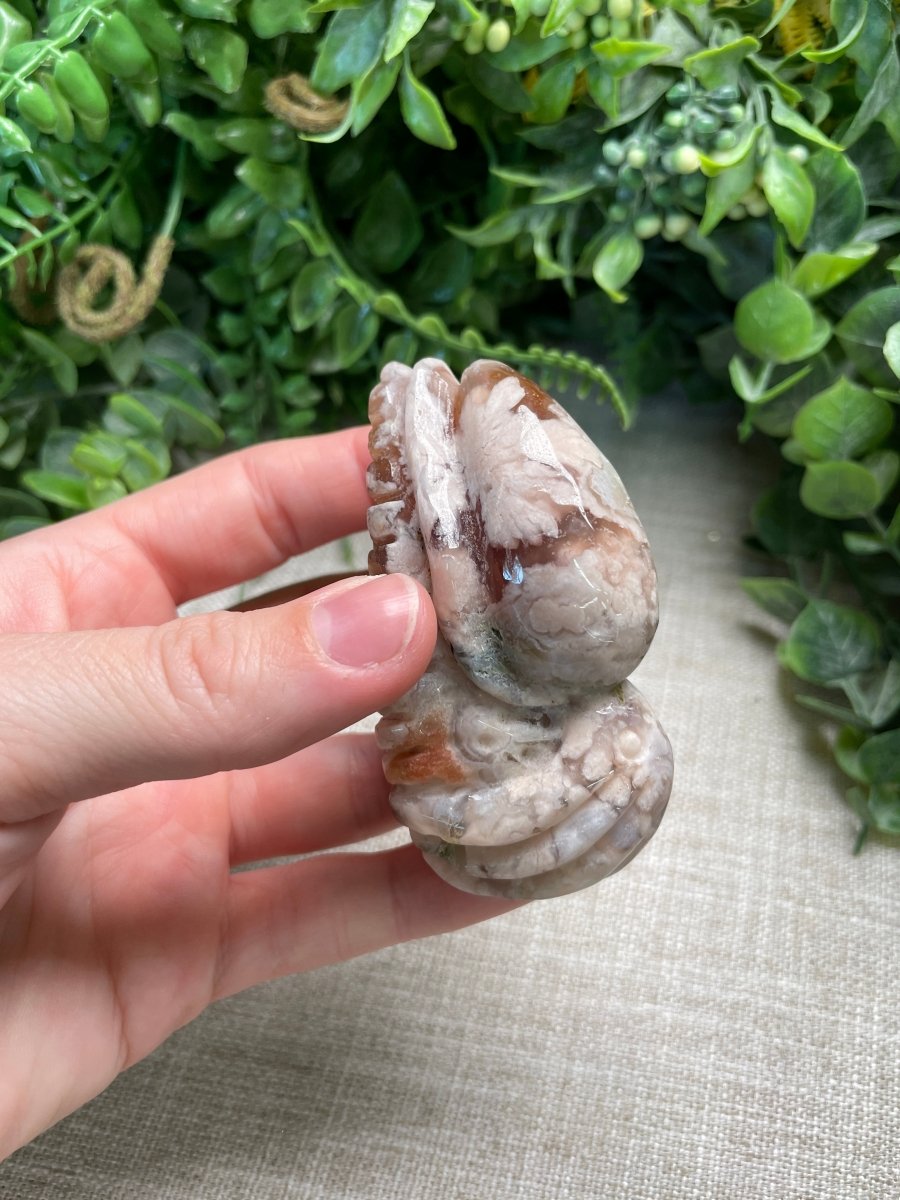 Flower Agate Cuttlefish