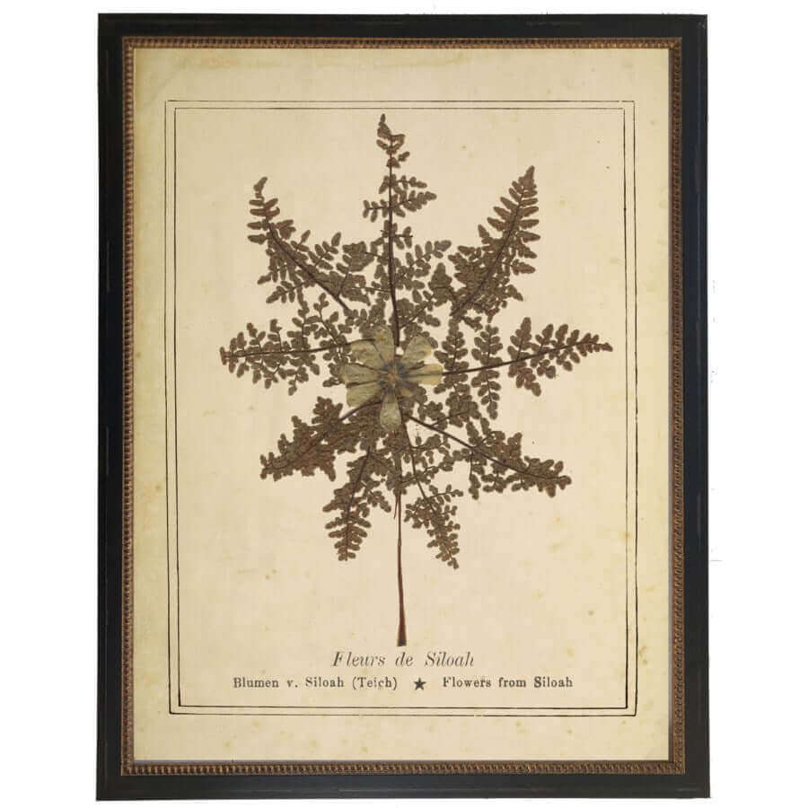 Flowers from Siloah Victorian Vintage Bookplate Print in Black Beaded Frame