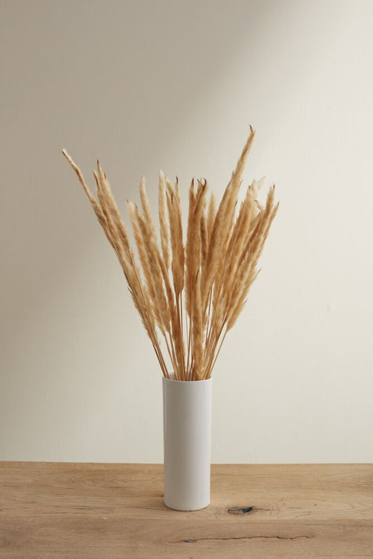 Fluffy Dried Pampas Grass – 6 Stems, 25.5” Tall Boho Home Décor
