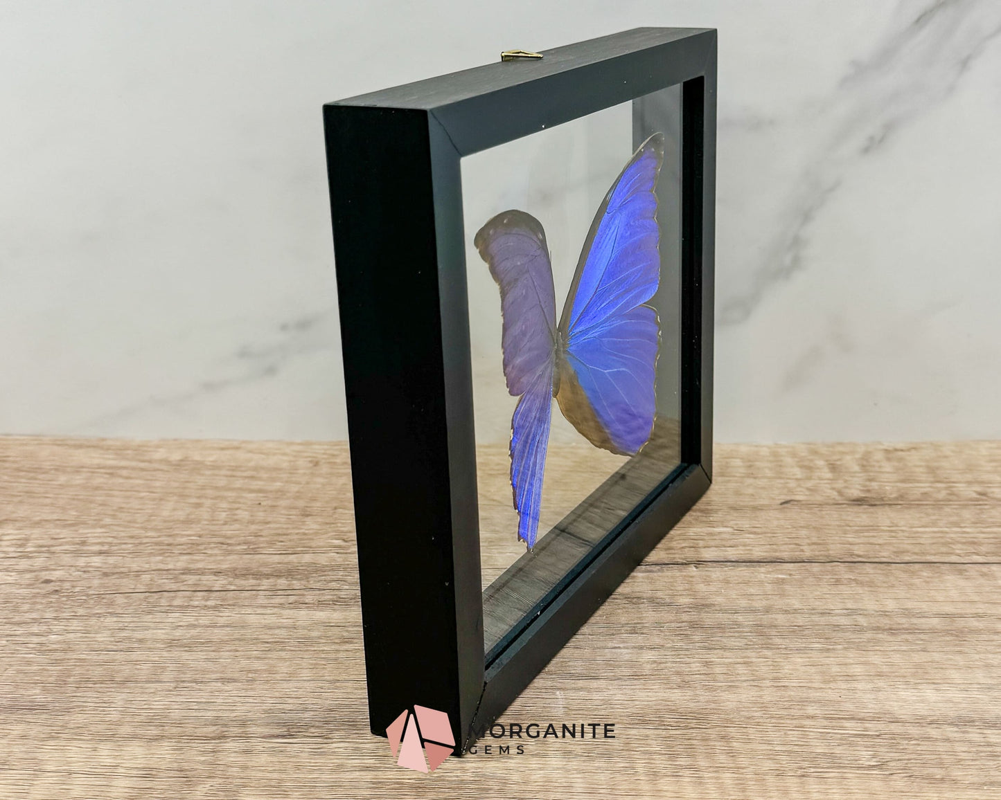 Framed Blue Morpho Butterfly – Exquisite Natural Art for Your Home