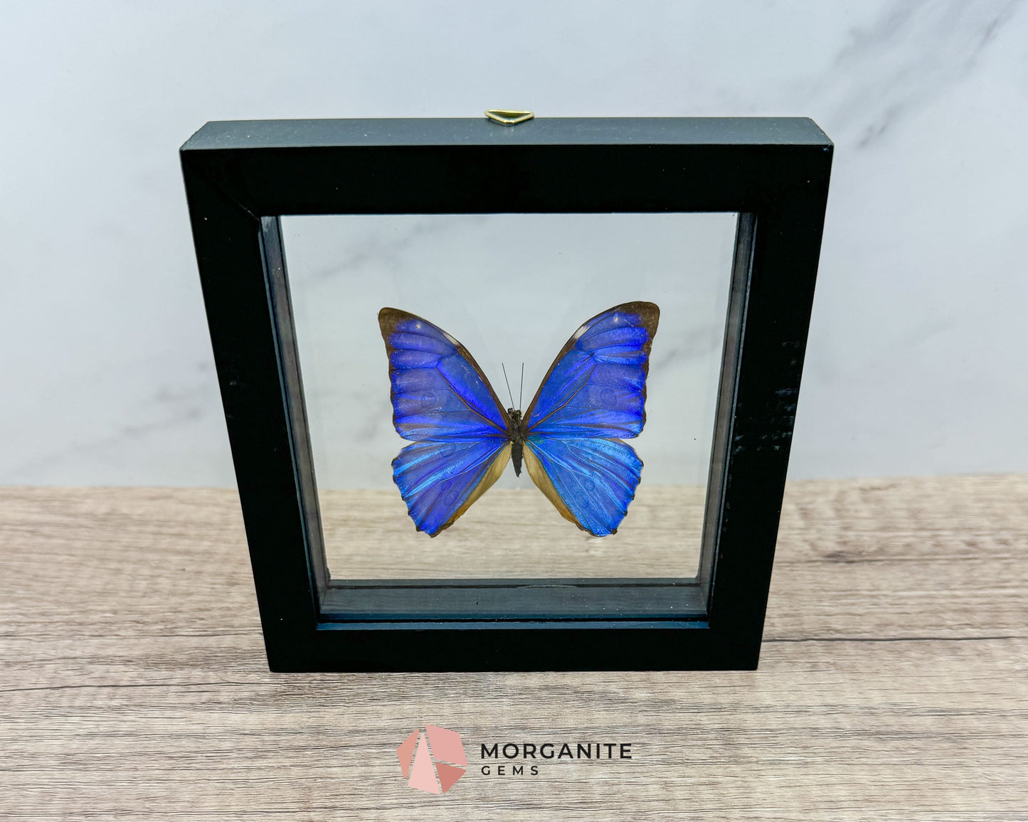Framed Blue Morpho Butterfly – Exquisite Natural Art for Your Home