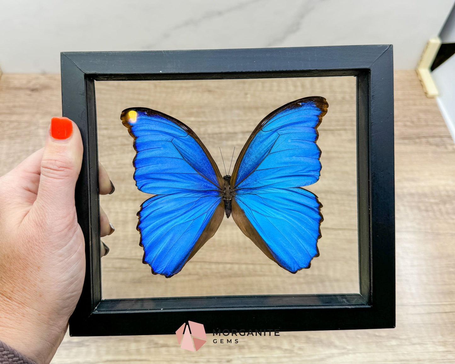 Framed Blue Morpho Butterfly – Exquisite Natural Art for Your Home