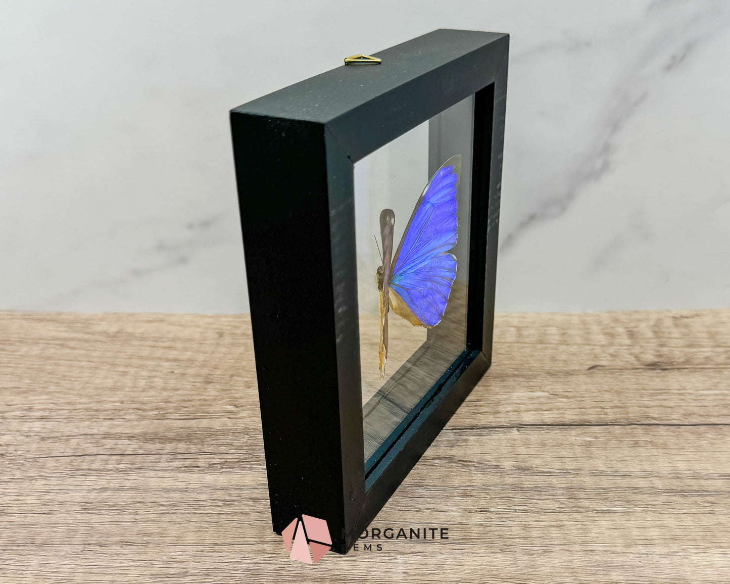 Framed Blue Morpho Butterfly – Exquisite Natural Art for Your Home
