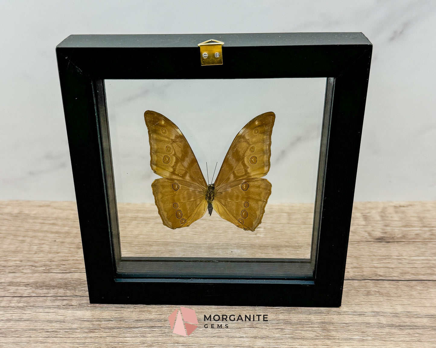 Framed Blue Morpho Butterfly – Exquisite Natural Art for Your Home