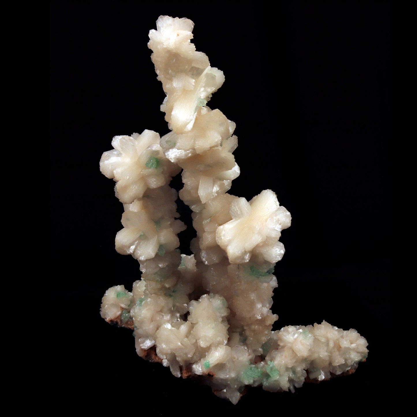 Green Apophyllite Crystals with Stilbite on Heulandite Bush Formation #W35