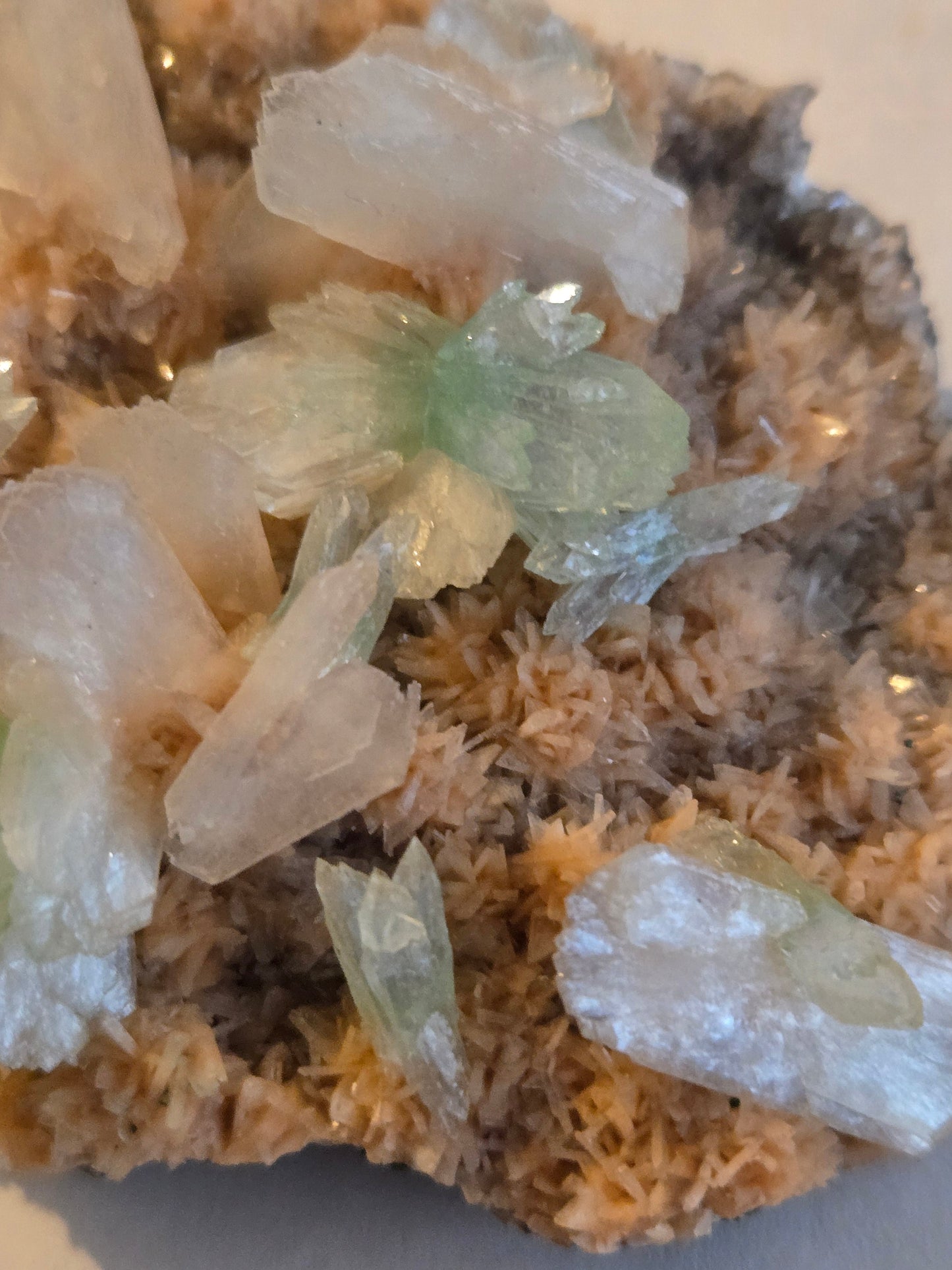 Green Apophyllite (Fluorapophyllite) with Stilbite – 2.5-3" Terminated Crystal Specimen from India