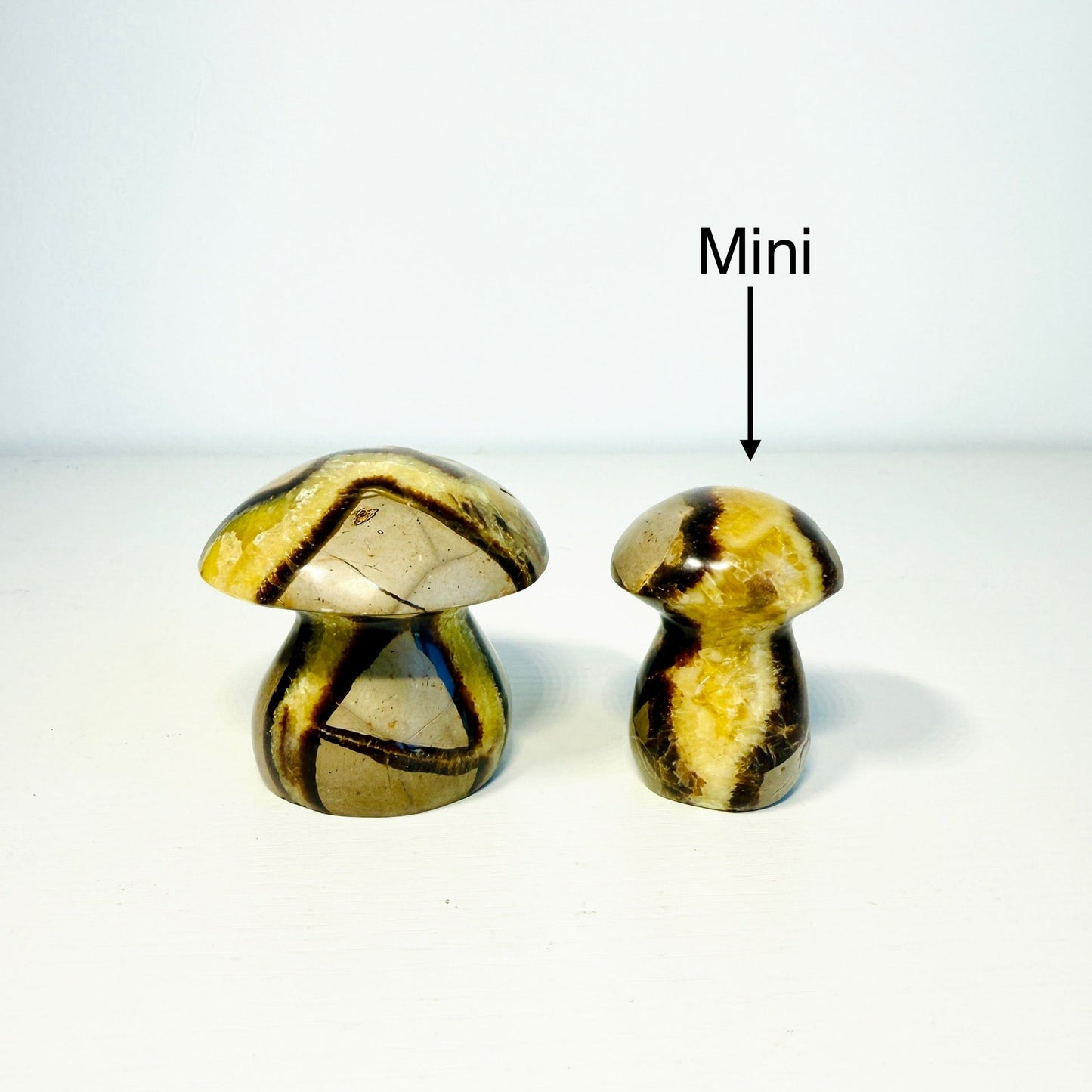 Septarian Dragon Stone Mushroom – Mini & Small Sizes