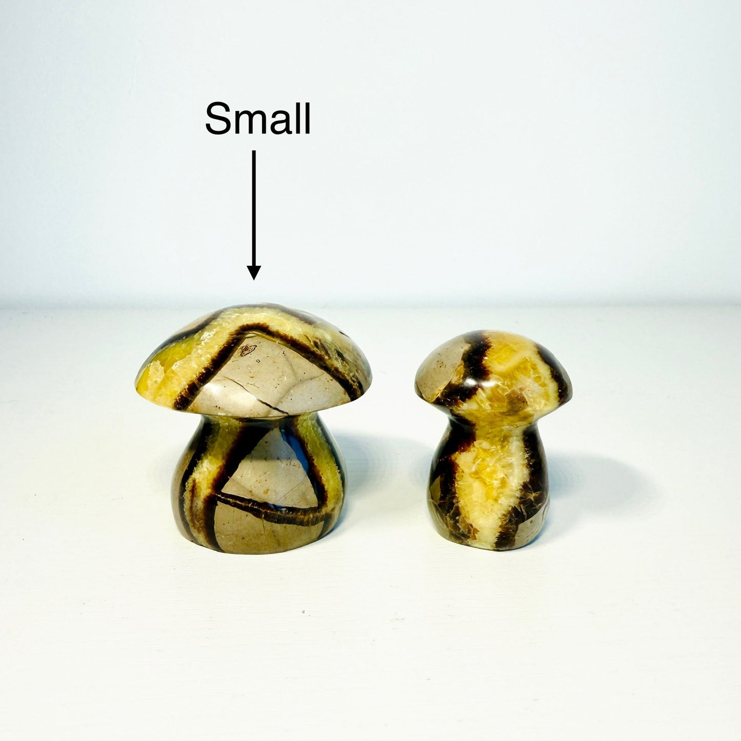 Septarian Dragon Stone Mushroom – Mini & Small Sizes