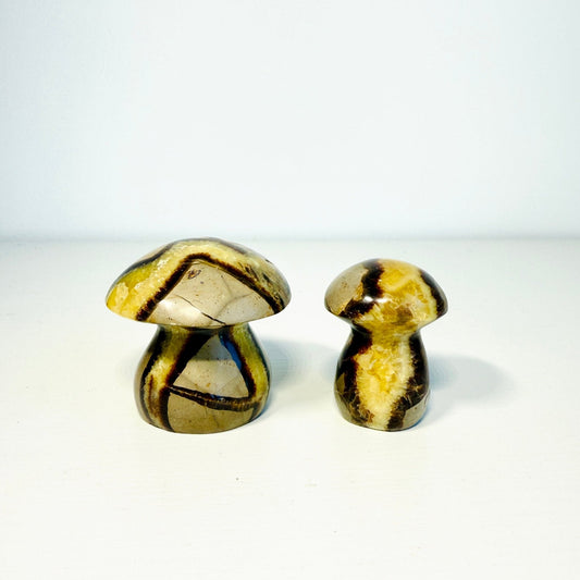 Septarian Dragon Stone Mushroom – Mini & Small Sizes