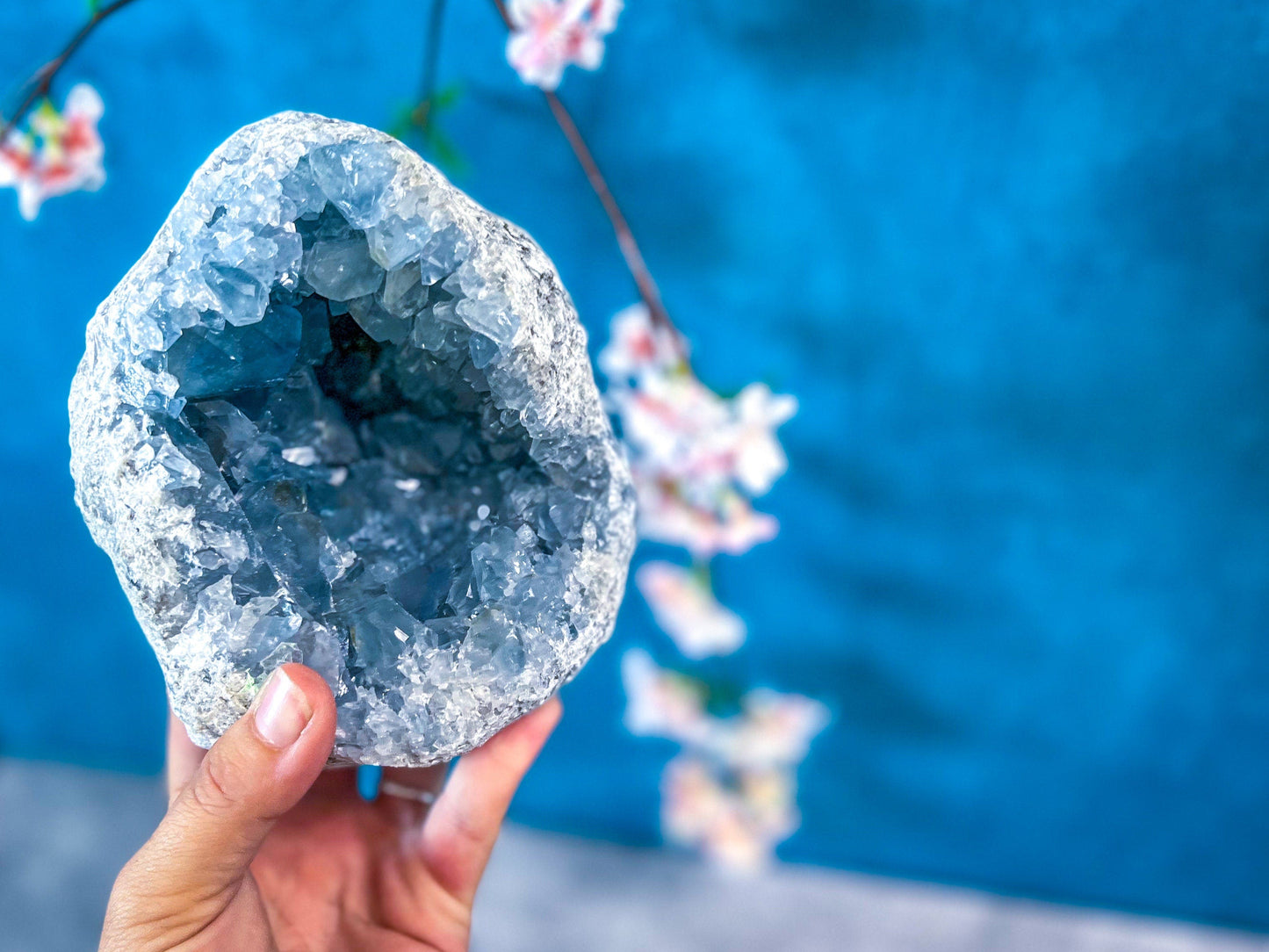Raw CELESTITE Geodes 3 - 5 1/2 lbs