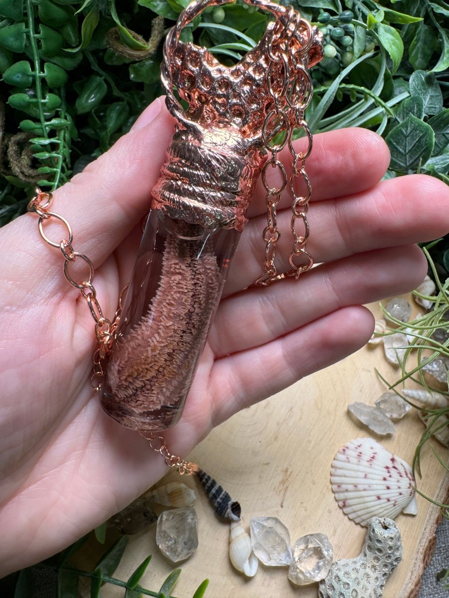 Labradorite, Coral, and Starfish Arm Oddity Vial Necklace