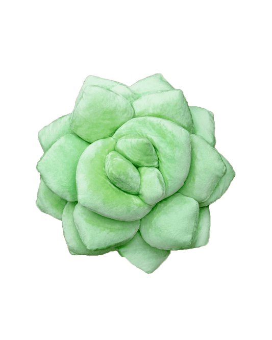 Lil' Pop Succulent®  - Sage Green