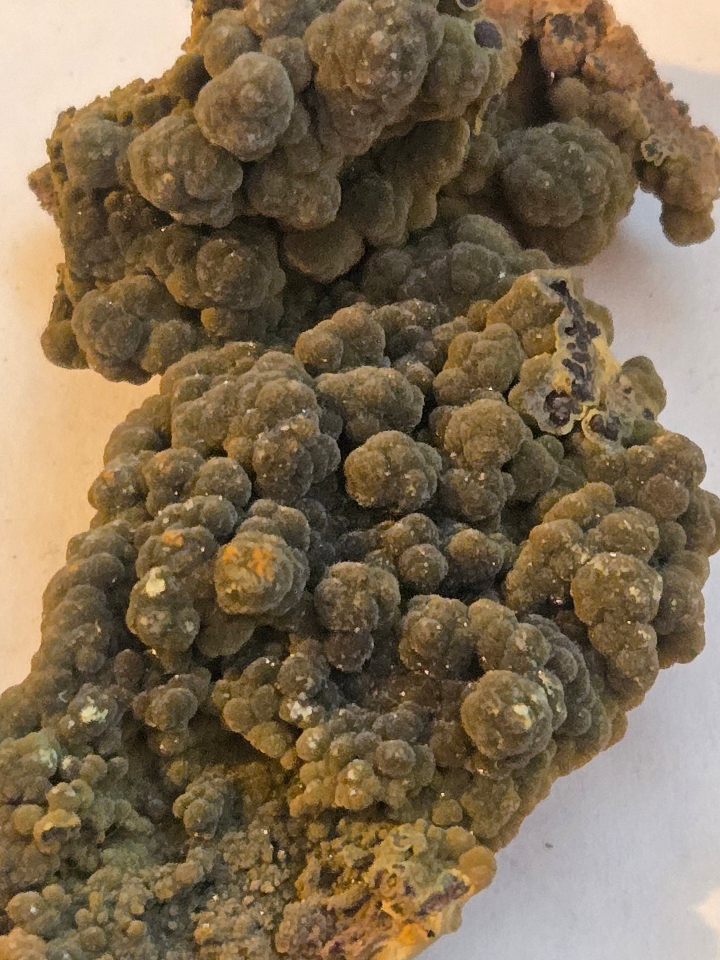 Mottramite