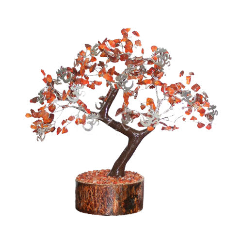 Carnelian $Money Tree$