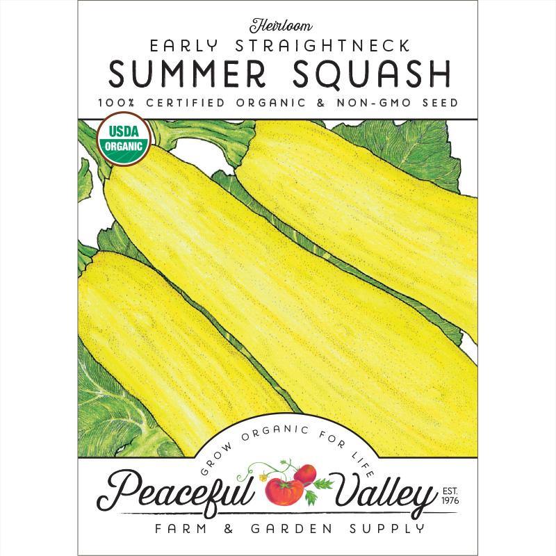Summer Squash Seeds, Early Straightneck (Organic)