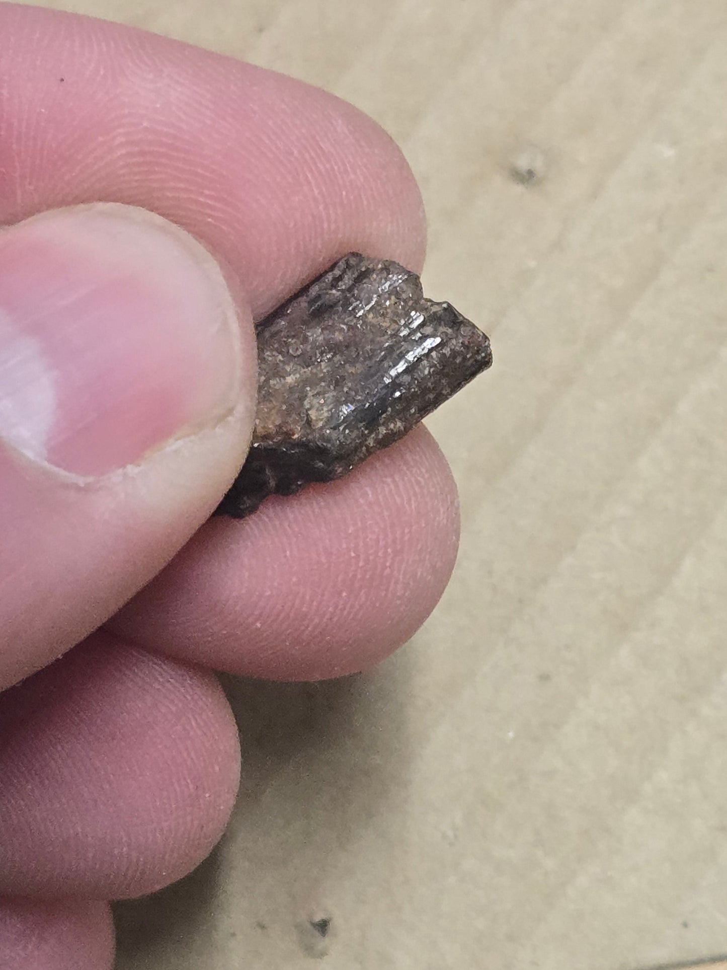 Painite crystal