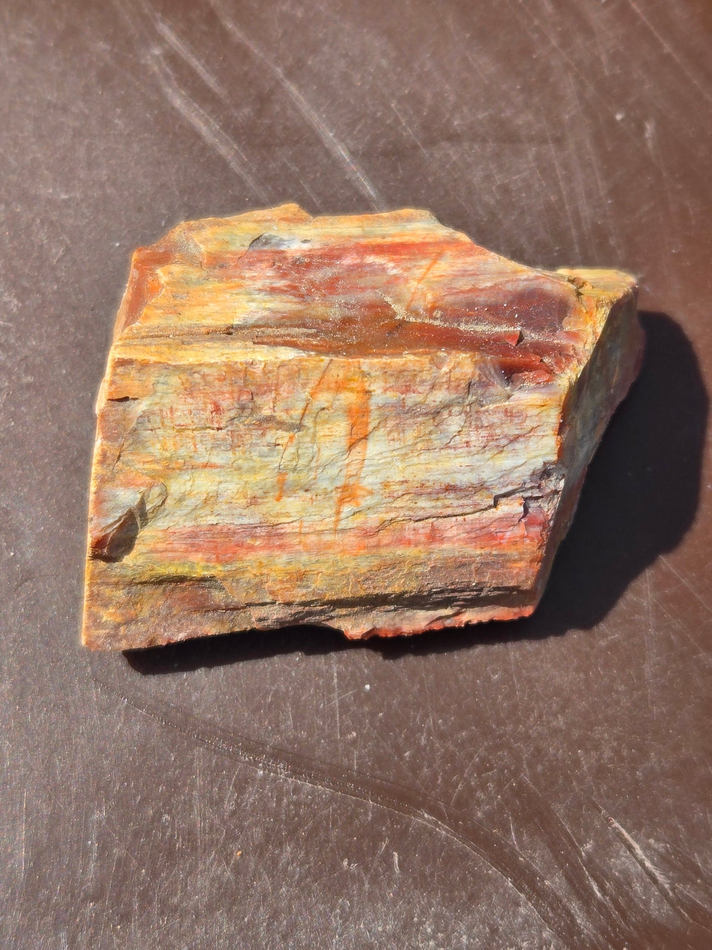 Petrified wood