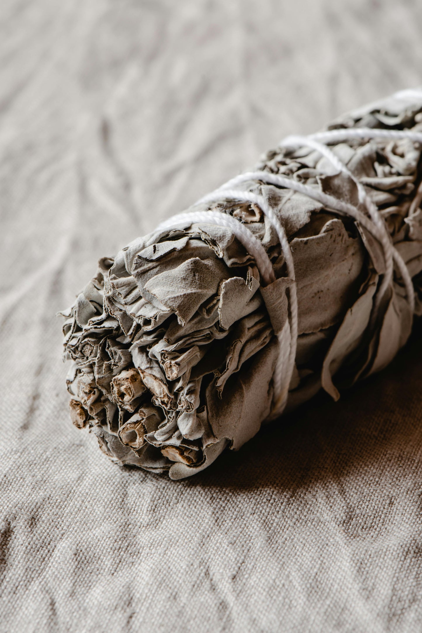 White Sage Smudging Sticks - 4" Sustainably Harvested