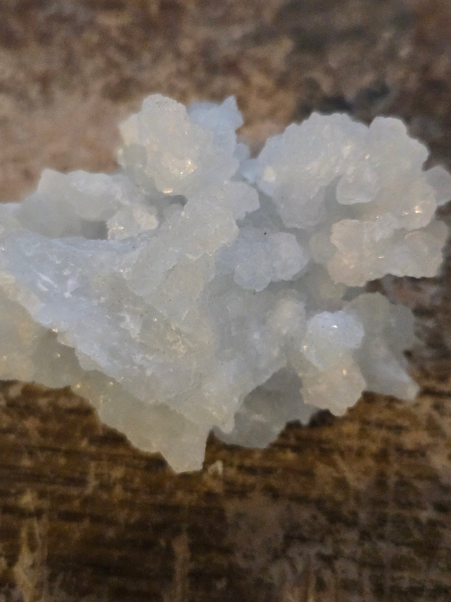 Prehnite