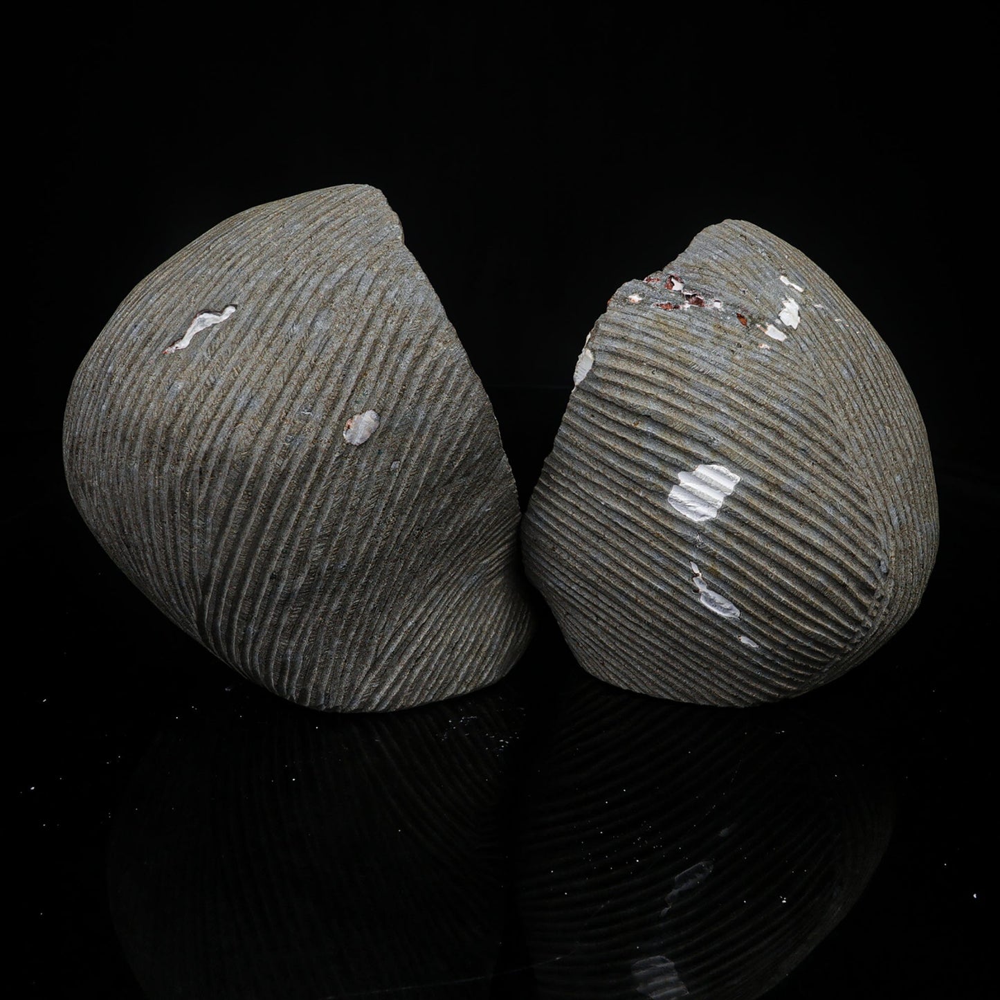 Scolecite Spray Inside Complete Geode Natural Mineral Specimen # B 7029