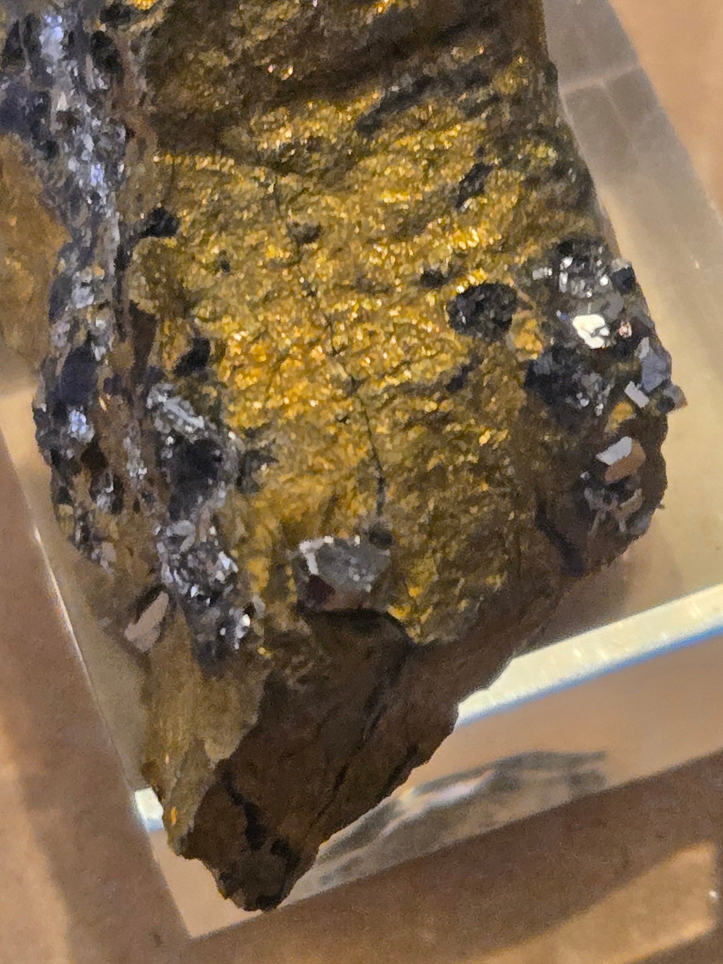 Sperrylite Rare Mineral Specimen – 1.5" in Chalcopyrite, Norilsk Russia