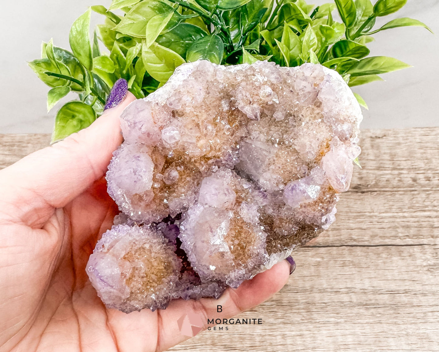 Spirit (Cactus) Quartz Specimens – Unique Natural Crystal Clusters for Spiritual Growth and Healing