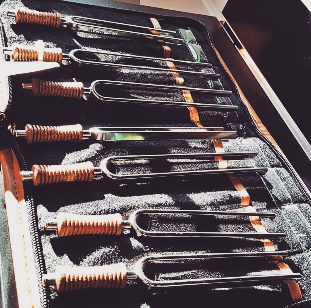 7 Chakra Healing Tuning Fork Set with Travel Case