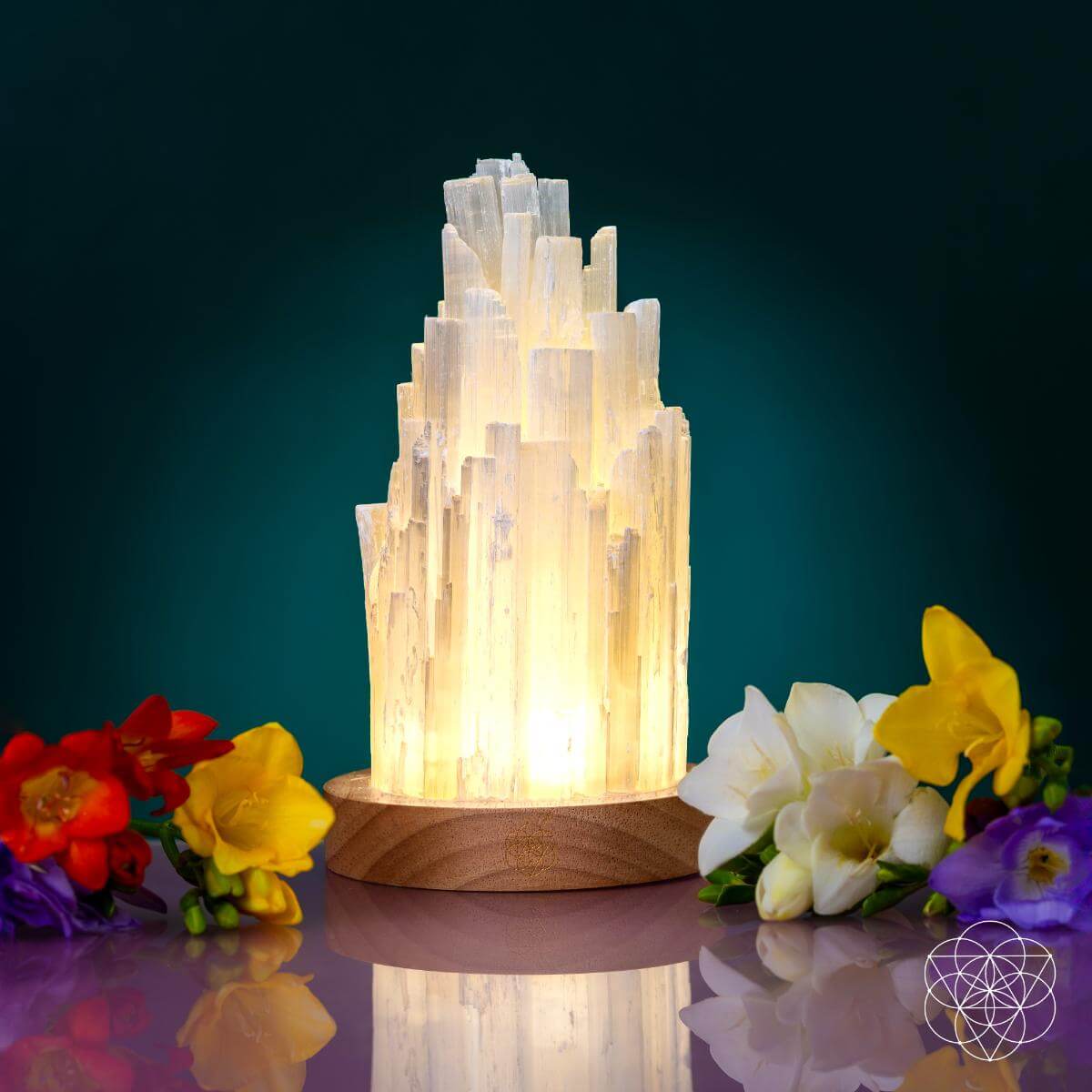 Selenite Lamp - 3 Pounds of Healing Power!! - Ethically Sourced