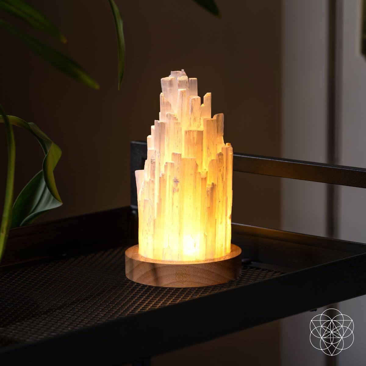 Selenite Lamp - 3 Pounds of Healing Power!! - Ethically Sourced