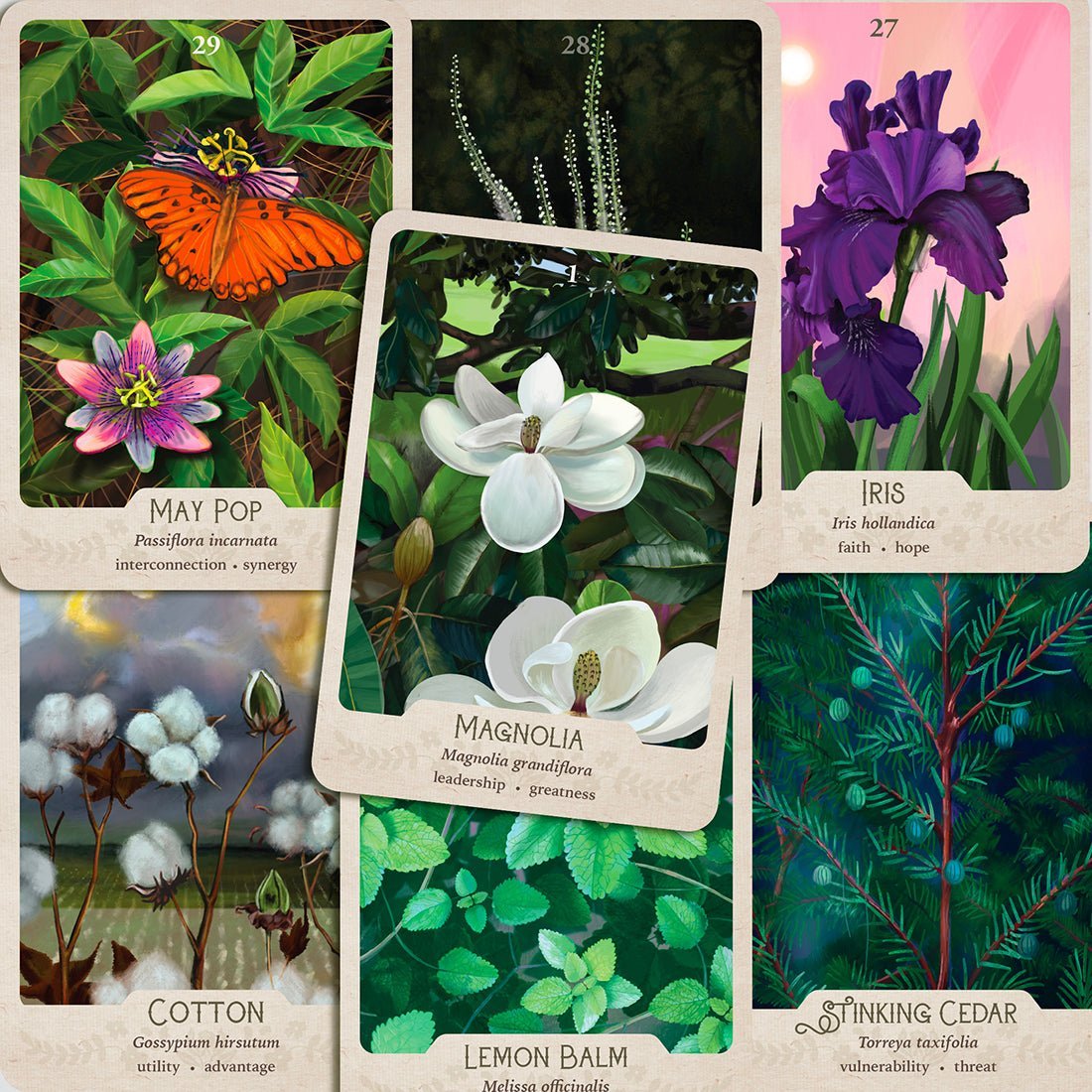 The Southern Botanic Oracle