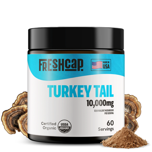 Turkey Tail Mushroom Extract Powder – 10,000mg Immune & Digestive Support