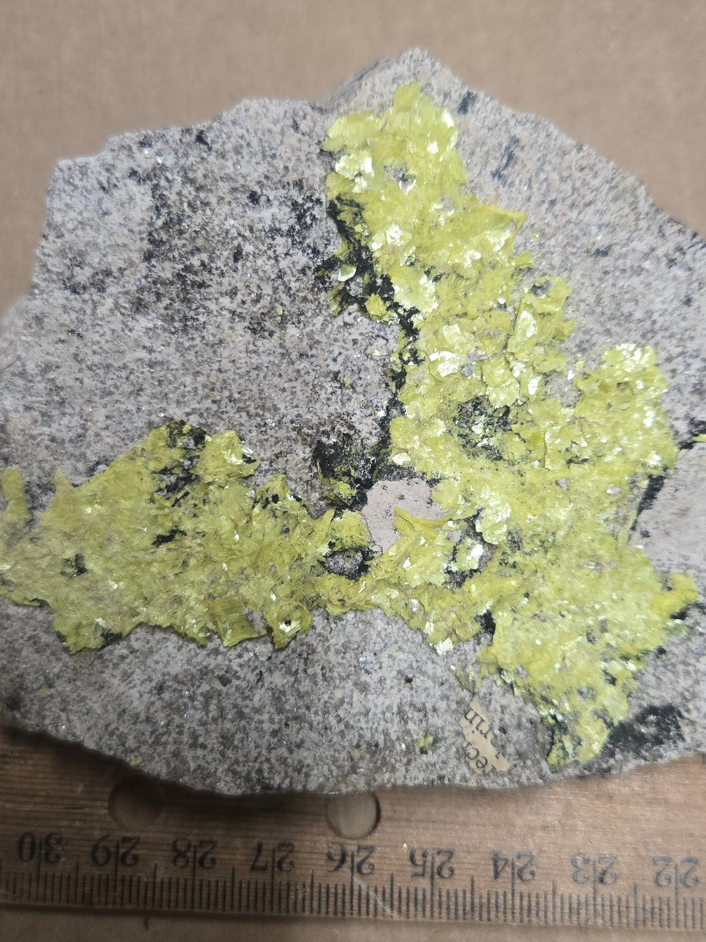 Uranocircite