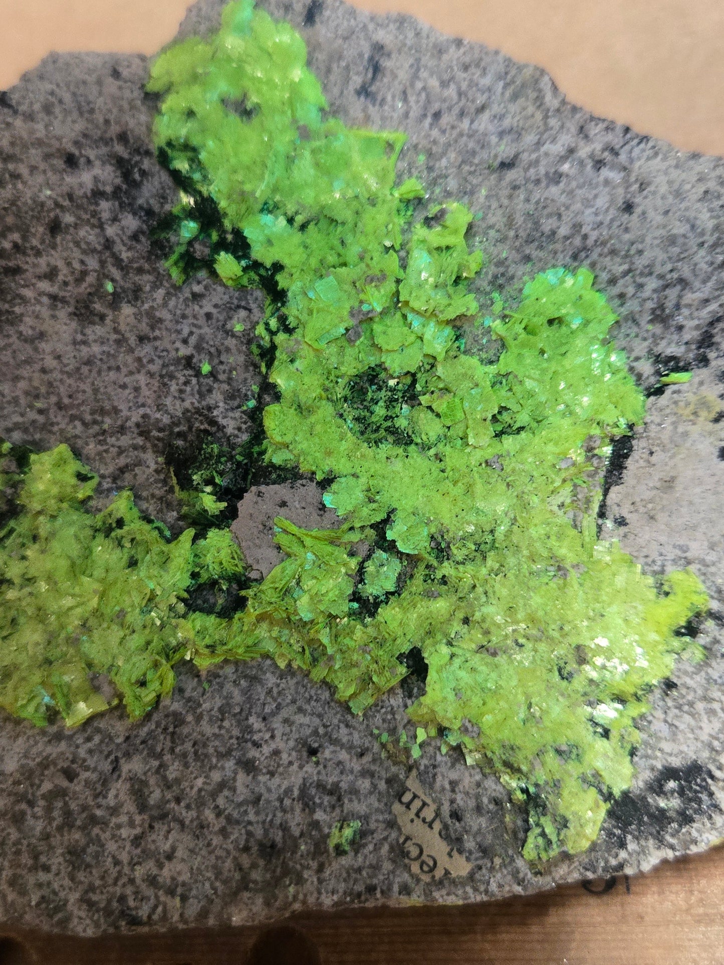 Uranocircite