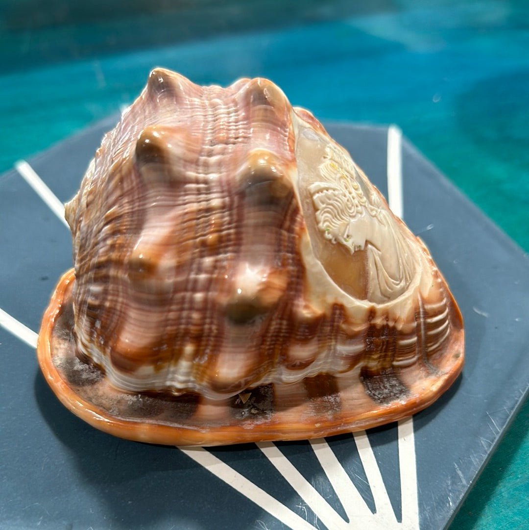 Vintage Carved Woman Cameo Helmet Seashell