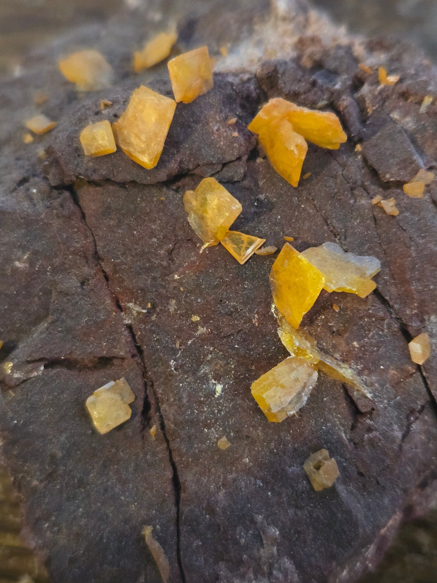 Wulfenite