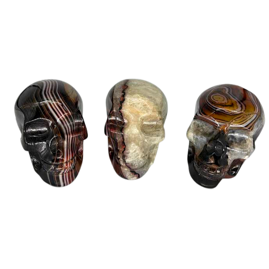 Banded Agate Skull $69.99