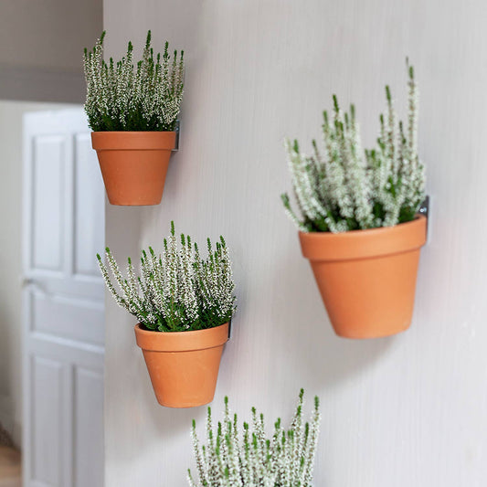 Wall mounting kit for 5 plant pots