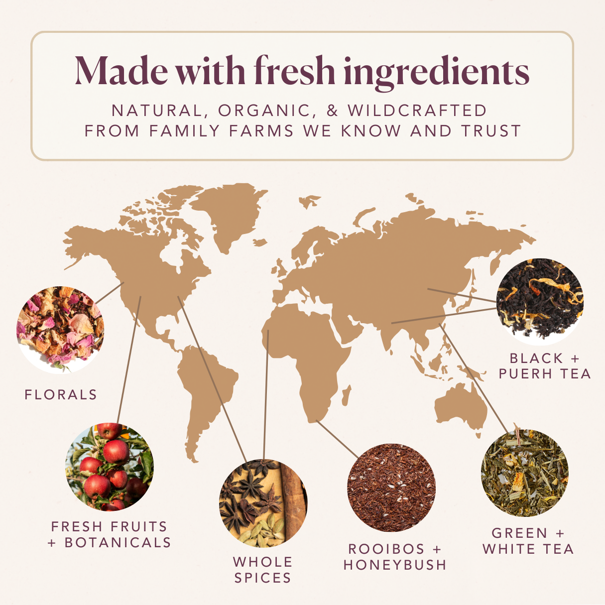 Vanilla Crème Herbal Tea – Honeybush with Calendula (Sold by the oz)