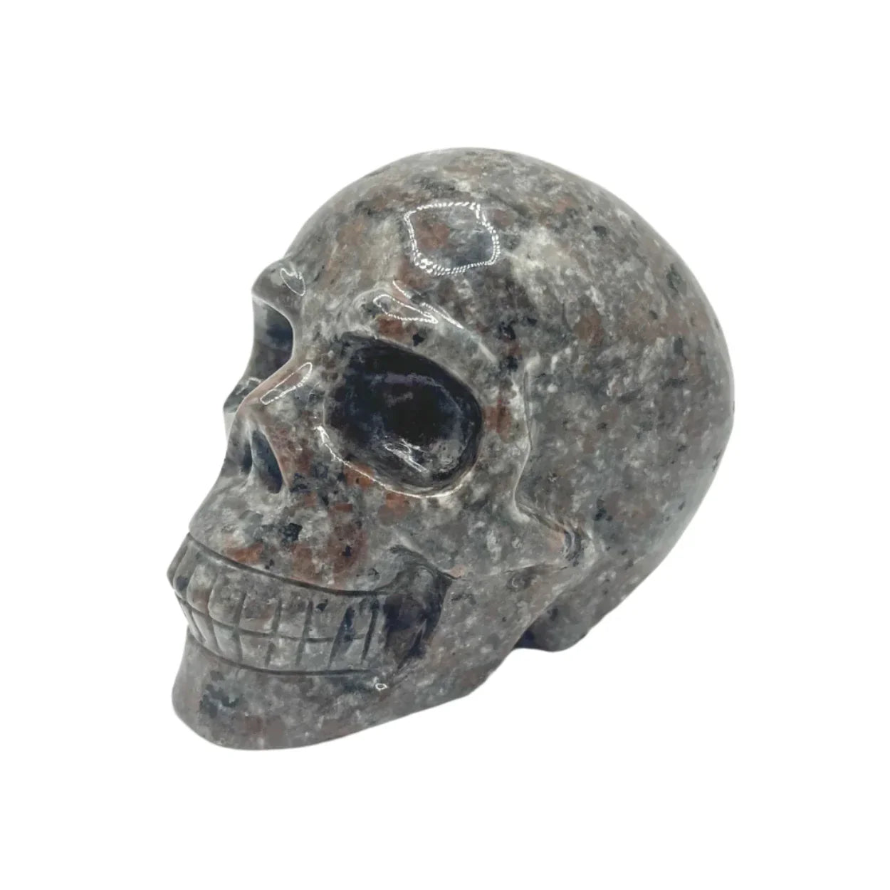 Yooperlite Skull